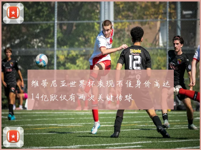 维蒂尼亚世界杯表现不佳身价高达14亿欧仅有两次关键传球