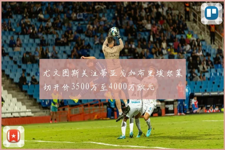 尤文图斯关注蒂亚戈加布里埃尔莱切开价3500万至4000万欧元